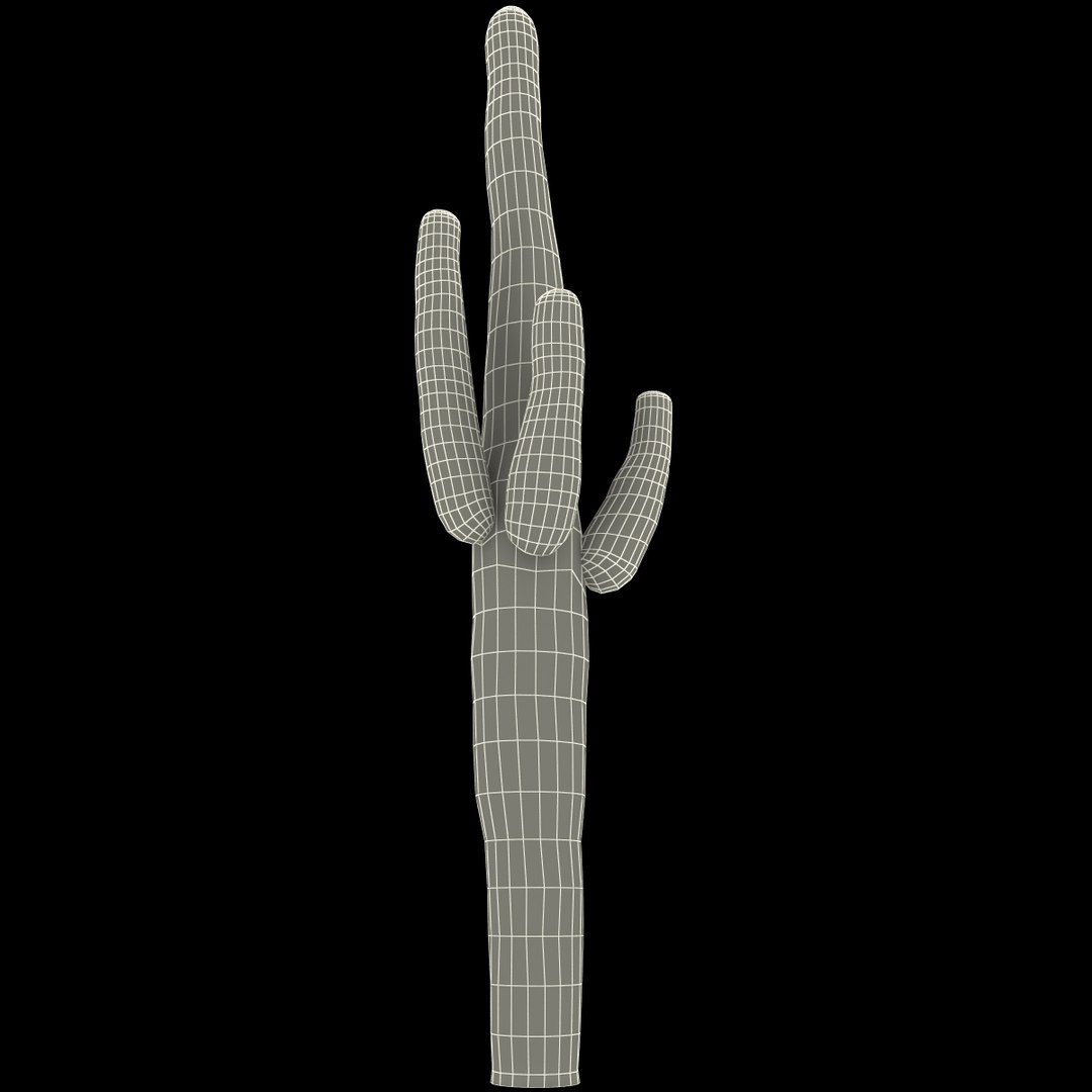 3d mexican cactus model https://p.turbosquid.com/ts-thumb/8Q/hfE0MM/e7uac8do/mexicancactus_162/jpg/1393355209/1920x1080/fit_q87/78de2ead995c0506fe2448ec64a4d477dbe2ccf2/mexicancactus_162.jpg