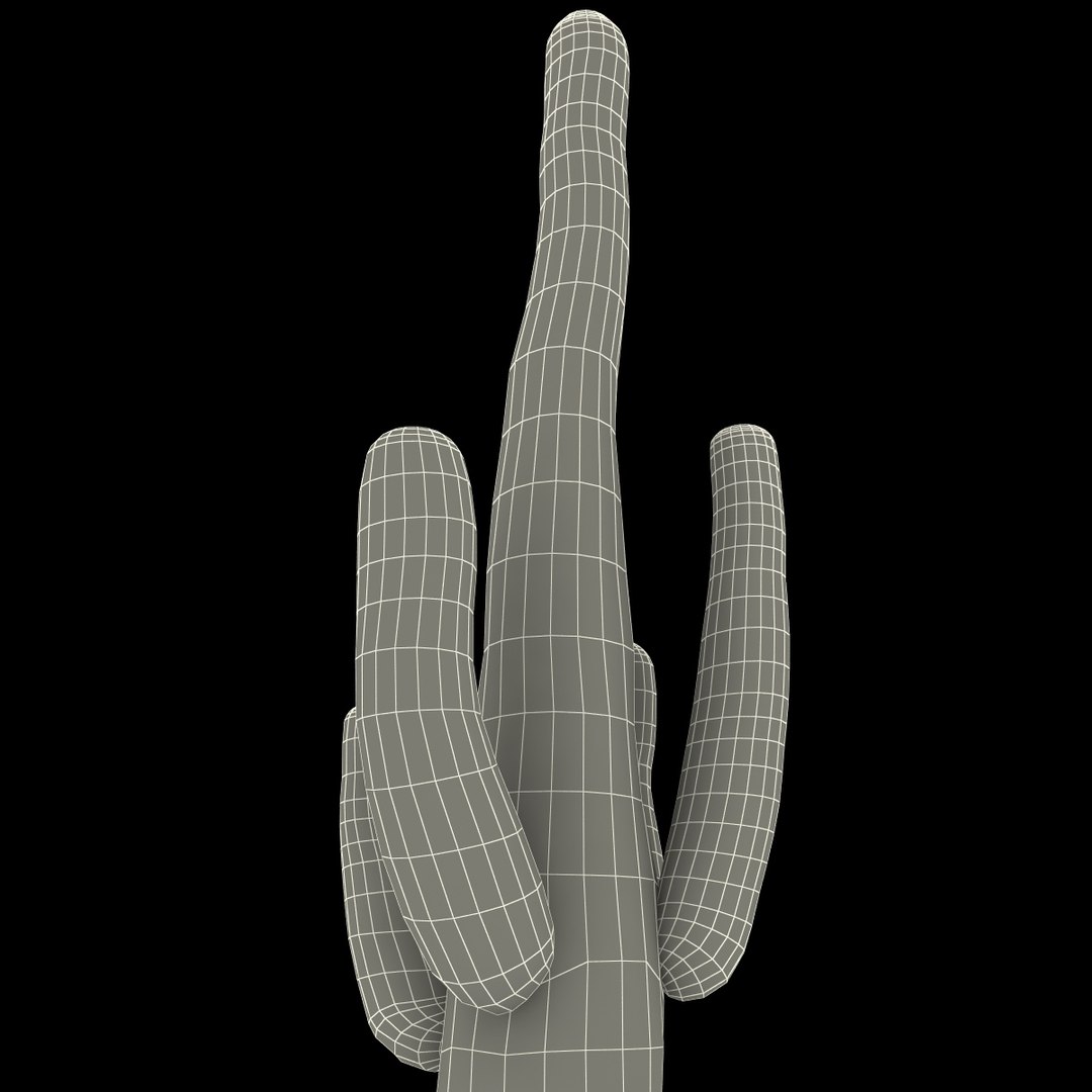 3d mexican cactus model https://p.turbosquid.com/ts-thumb/8Q/hfE0MM/eN17NJwc/mexicancactus_165/jpg/1393355220/1920x1080/fit_q87/3ca3a7c21ec48099fe2d1070a17119720b98f490/mexicancactus_165.jpg