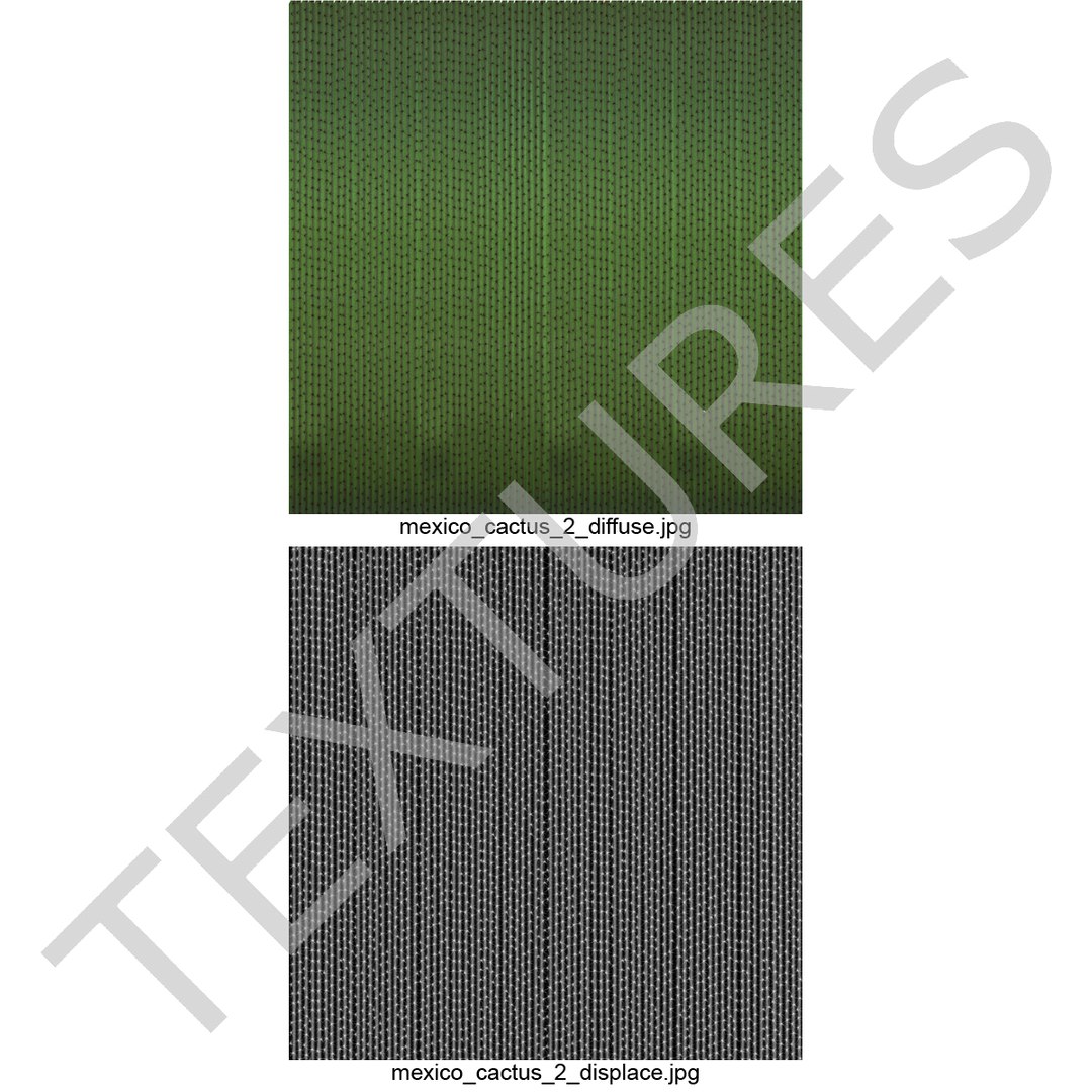 3d mexican cactus model https://p.turbosquid.com/ts-thumb/8Q/hfE0MM/f4Q2lEfO/mexicancactus_166/jpg/1393355227/1920x1080/fit_q87/bbd8501f872e1cfe6f59fe48111ca34b3a21f8f3/mexicancactus_166.jpg