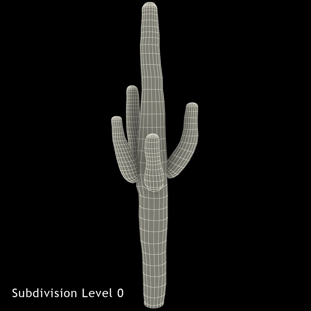 3d mexican cactus model https://p.turbosquid.com/ts-thumb/8Q/hfE0MM/tMSHP2YH/mexicancactus_13/jpg/1393354750/1920x1080/fit_q87/e0f1c0ad78d5e77773d5ad36304af09d223d8236/mexicancactus_13.jpg