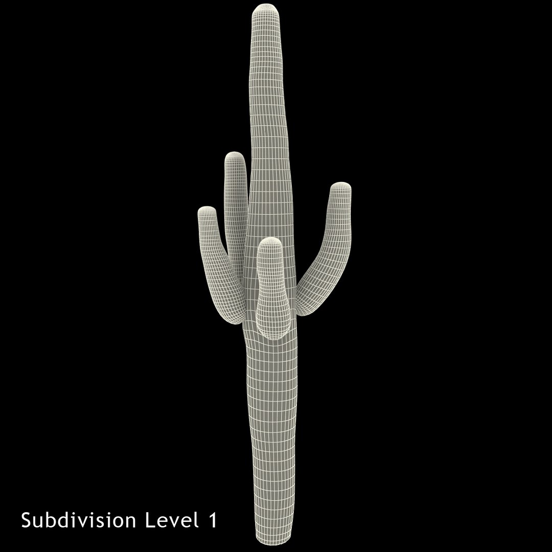 3d mexican cactus model https://p.turbosquid.com/ts-thumb/8Q/hfE0MM/wf8Hpfl1/mexicancactus_14/jpg/1393354750/1920x1080/fit_q87/bf8aad0aa0c80797d1e3cf134bd91828550dcfda/mexicancactus_14.jpg