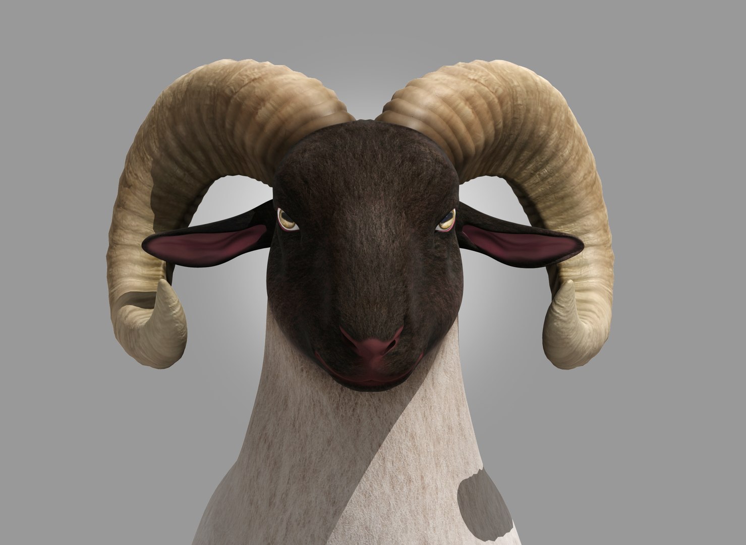 3D Sheep Ram Ewe Goat Model - TurboSquid 1880832