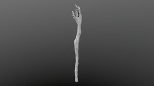 Wood Wizard's Wand
