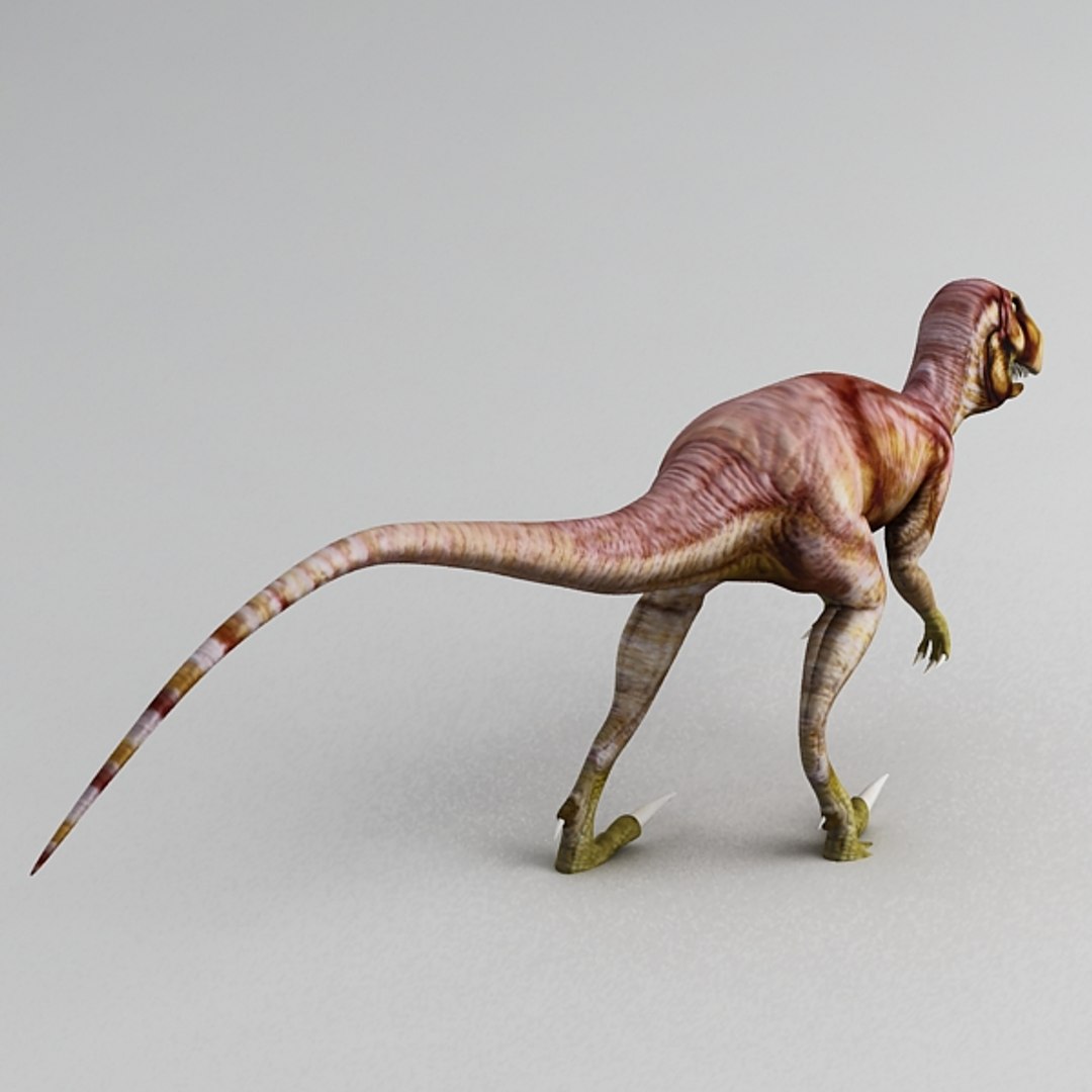 Deinonychus 3D Models _ Free 3D Deinonychus Models – PCWH