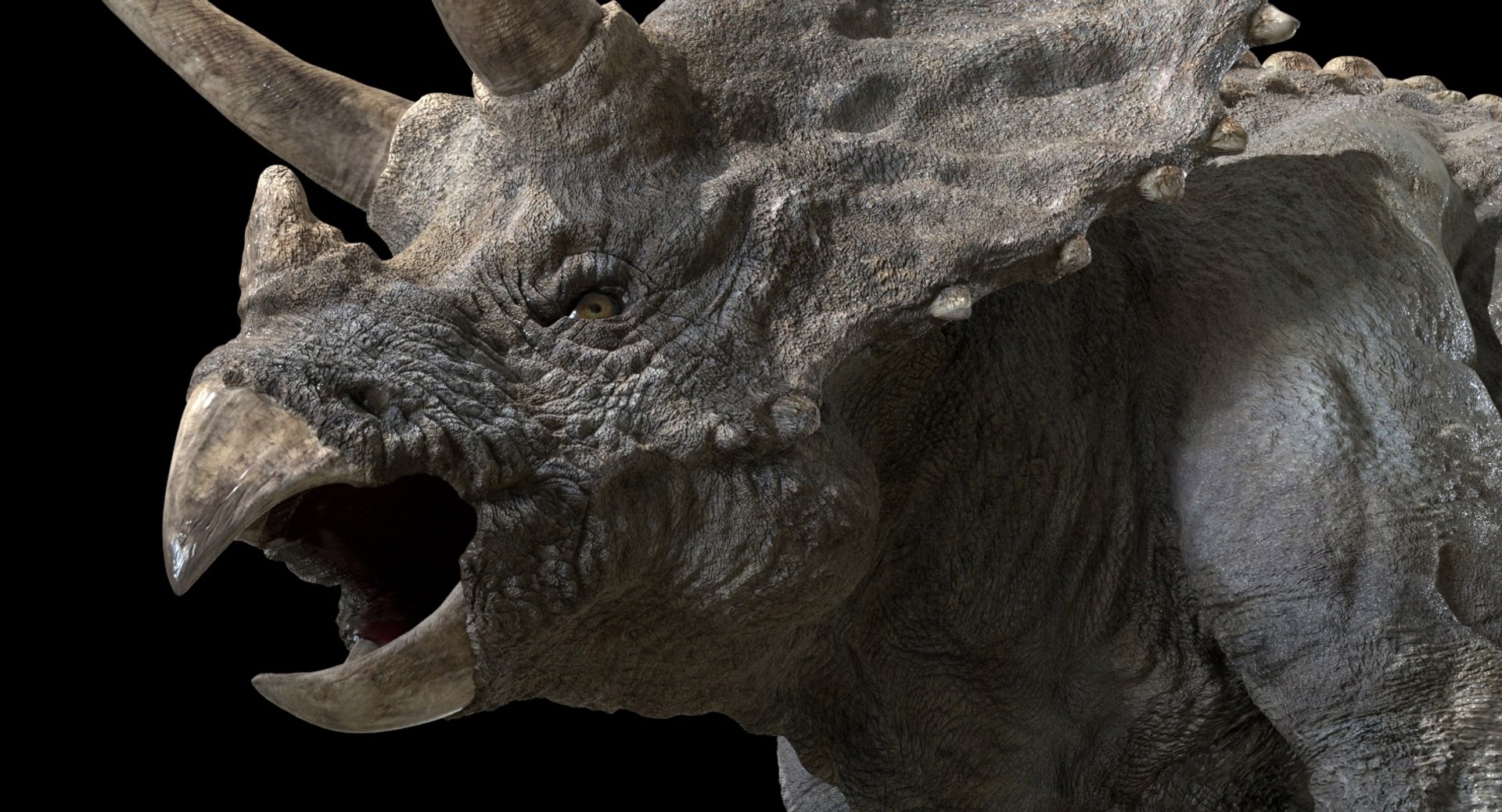 triceratops rigged 3D model https://p.turbosquid.com/ts-thumb/8R/7eg2Ai/0yZQdqog/15/jpg/1517732056/1920x1080/fit_q87/577ddd5d536a814abf93253e96209526374ba025/15.jpg