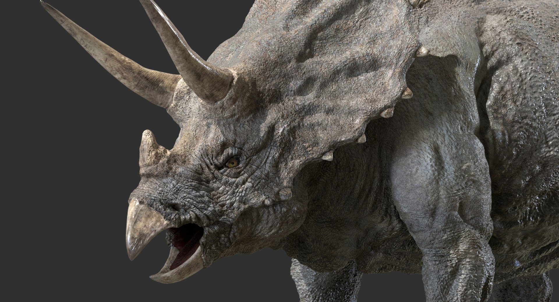 triceratops rigged 3D model https://p.turbosquid.com/ts-thumb/8R/7eg2Ai/2665qv0K/06/jpg/1517732055/1920x1080/fit_q87/1fee9f38d563ffd6f52f46e8c746e9cd588f5e76/06.jpg