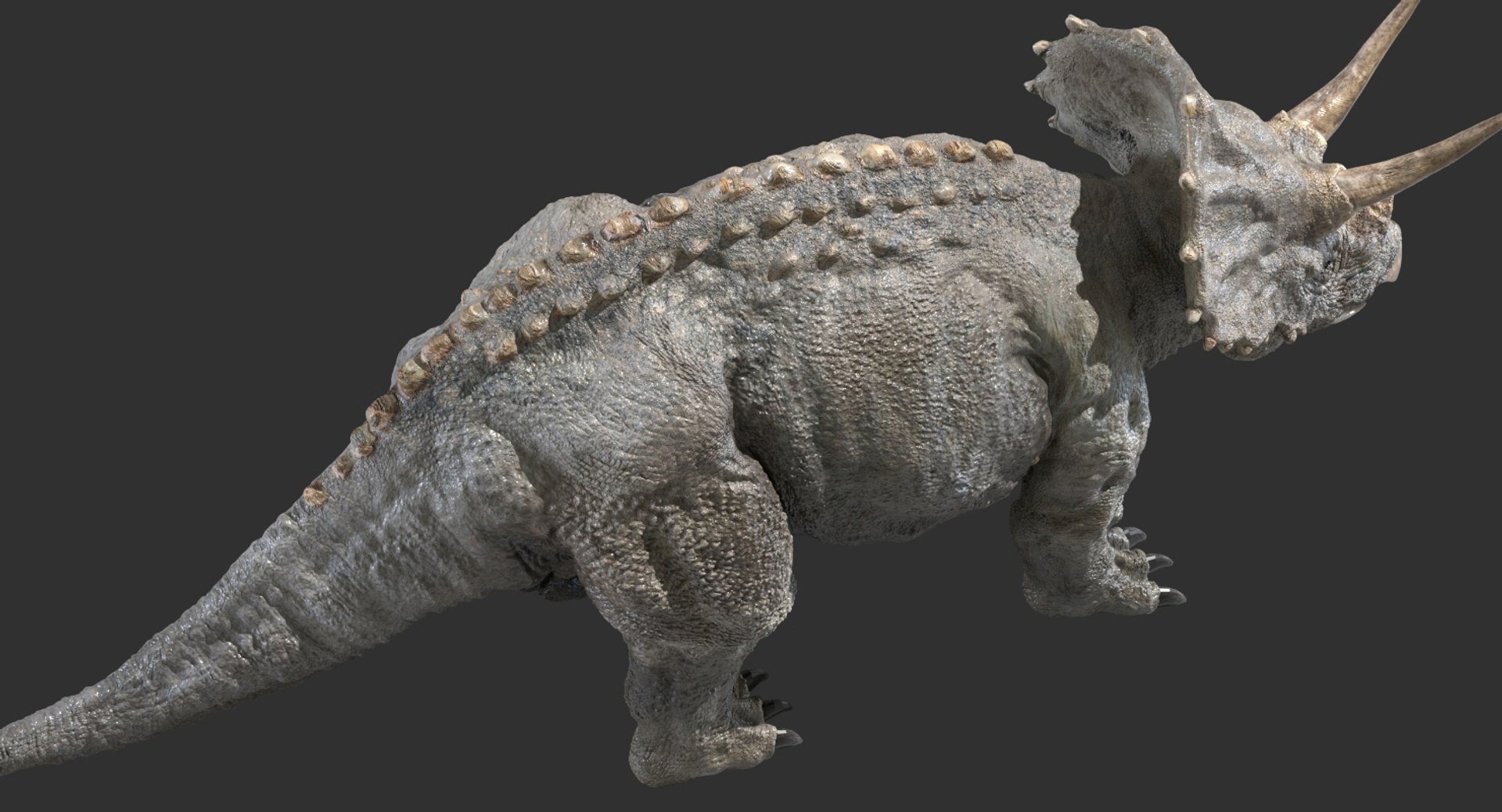 triceratops rigged 3D model https://p.turbosquid.com/ts-thumb/8R/7eg2Ai/AH7fPbZC/10/jpg/1517732055/1920x1080/fit_q87/8853c4a846354c48381c2154516590ae285ac156/10.jpg
