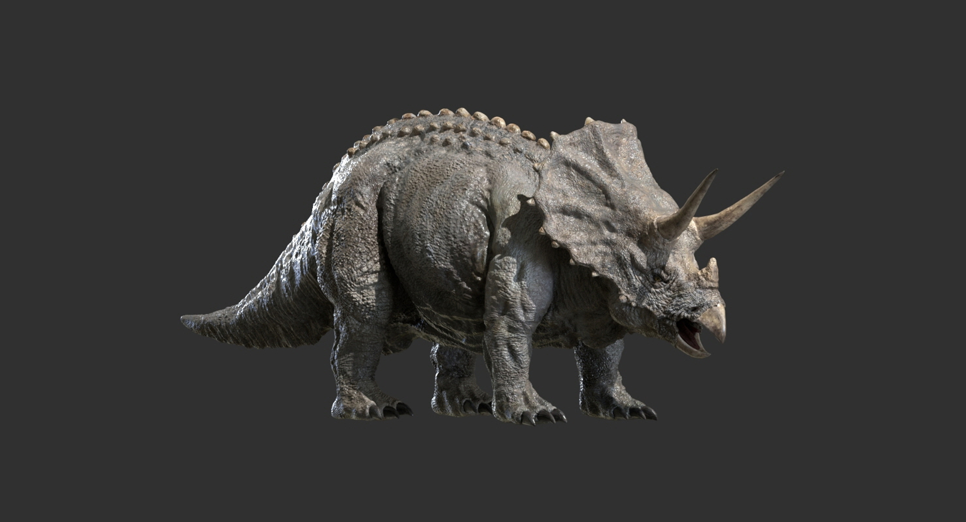 triceratops rigged 3D model https://p.turbosquid.com/ts-thumb/8R/7eg2Ai/Ave21nQy/turntable/jpg/1517732579/1920x1080/turn_fit_q99/206611e020d88809032371f324e26077b5a60381/turntable-1.jpg