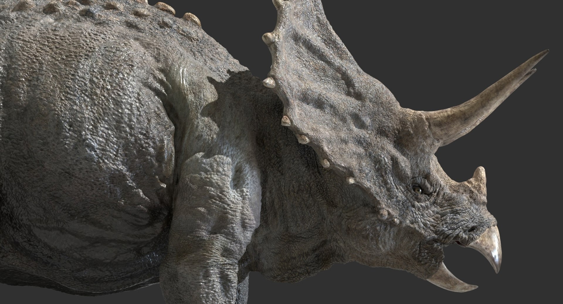 triceratops rigged 3D model https://p.turbosquid.com/ts-thumb/8R/7eg2Ai/J4dnWyJR/05/jpg/1517732055/1920x1080/fit_q87/c0e036ee0f4b0261757bb422cd7dbae671085e71/05.jpg