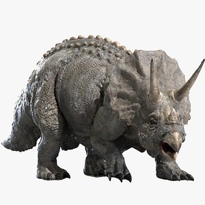 Triceratops (Rigged)