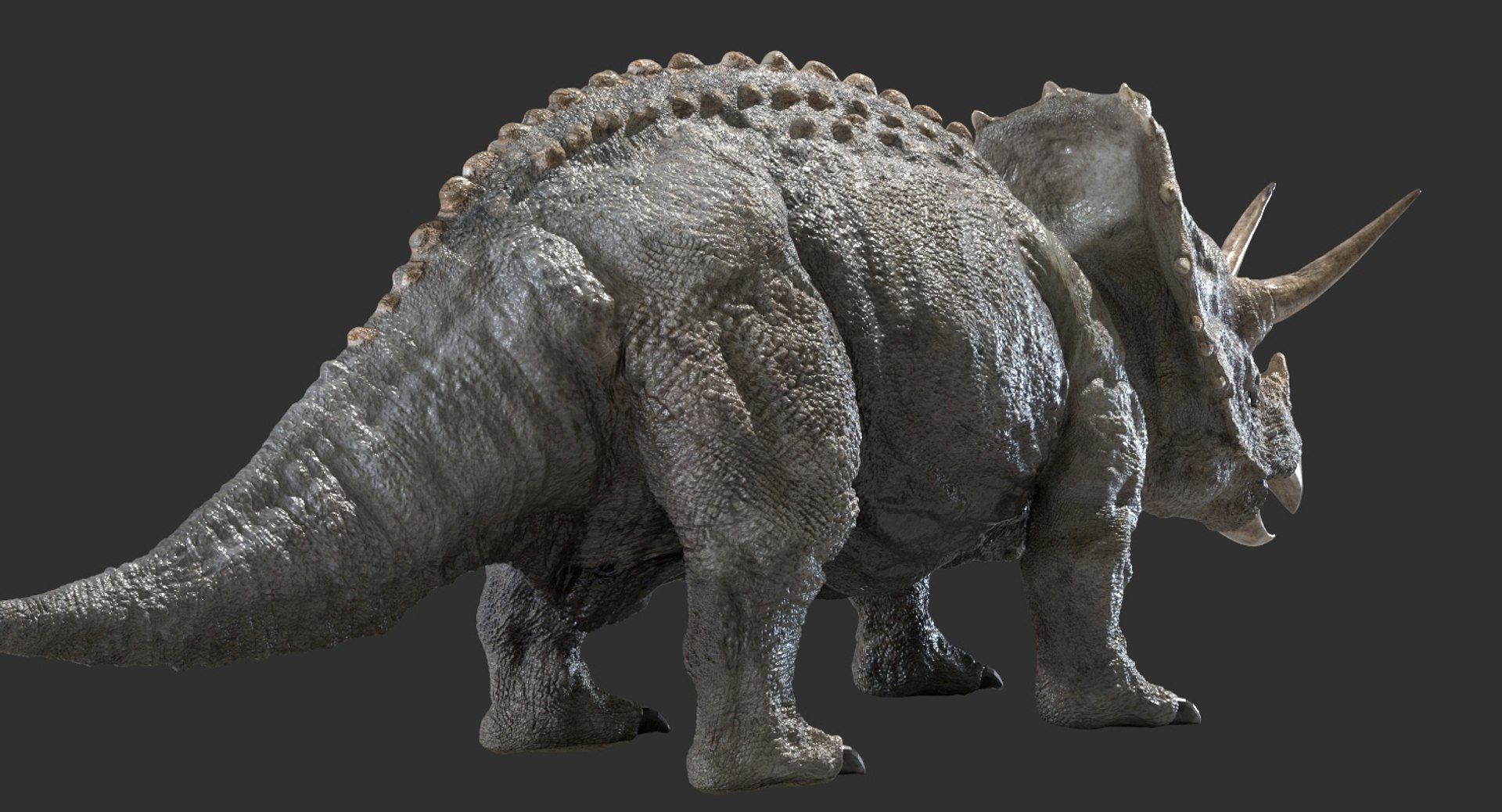triceratops rigged 3D model https://p.turbosquid.com/ts-thumb/8R/7eg2Ai/YZDkl4Le/09/jpg/1517732055/1920x1080/fit_q87/f292d5110dd7f7cc260a6e8cf16c98b9ce14a124/09.jpg