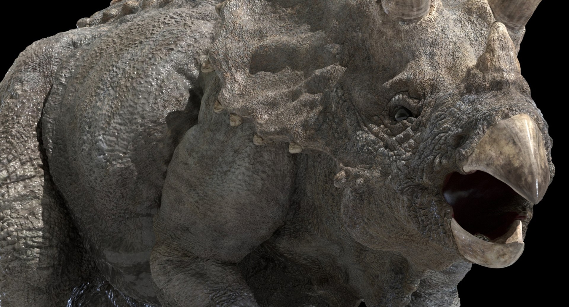 triceratops rigged 3D model https://p.turbosquid.com/ts-thumb/8R/7eg2Ai/hTUaODAO/16/jpg/1517732056/1920x1080/fit_q87/0bddb49ae4724fe10df911f25490e6b959ef01b4/16.jpg