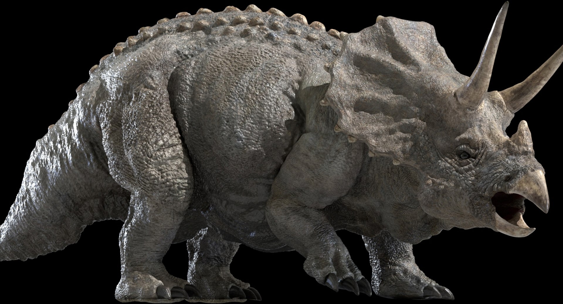 triceratops rigged 3D model https://p.turbosquid.com/ts-thumb/8R/7eg2Ai/jFd6qWp8/17/jpg/1517732056/1920x1080/fit_q87/f33a919525ebaf1139234221d8d3a1b7c9d9a9a3/17.jpg