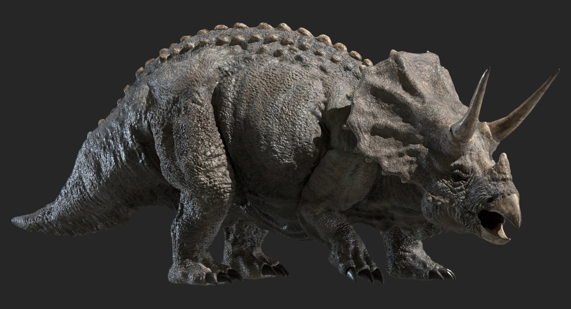 triceratops rigged 3D model https://p.turbosquid.com/ts-thumb/8R/7eg2Ai/kDpfY27D/04/jpg/1517732055/1920x1080/fit_q87/b4a25cc855470eecb92c2c1f78efe64f9f7e340f/04.jpg