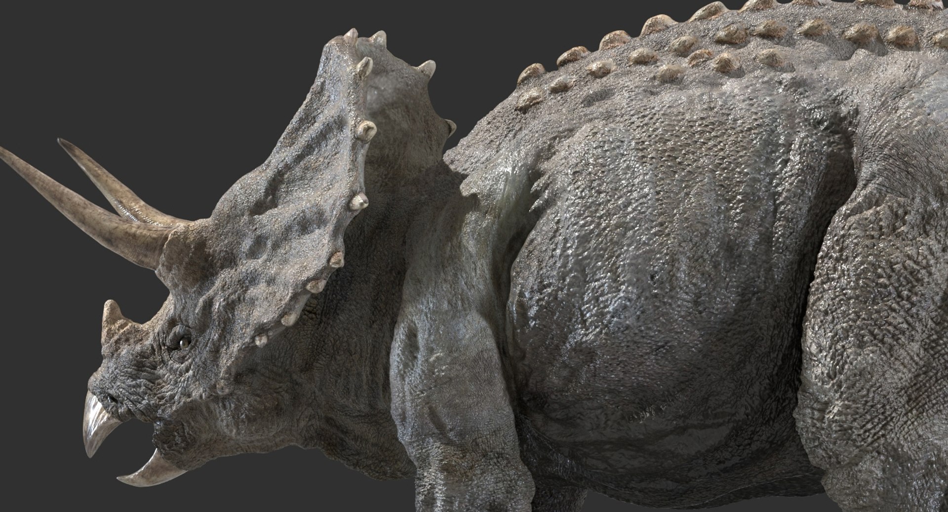 triceratops rigged 3D model https://p.turbosquid.com/ts-thumb/8R/7eg2Ai/lnNSHekl/07/jpg/1517732055/1920x1080/fit_q87/653265e1919f2ef622d52adb7d8b371061b193ad/07.jpg