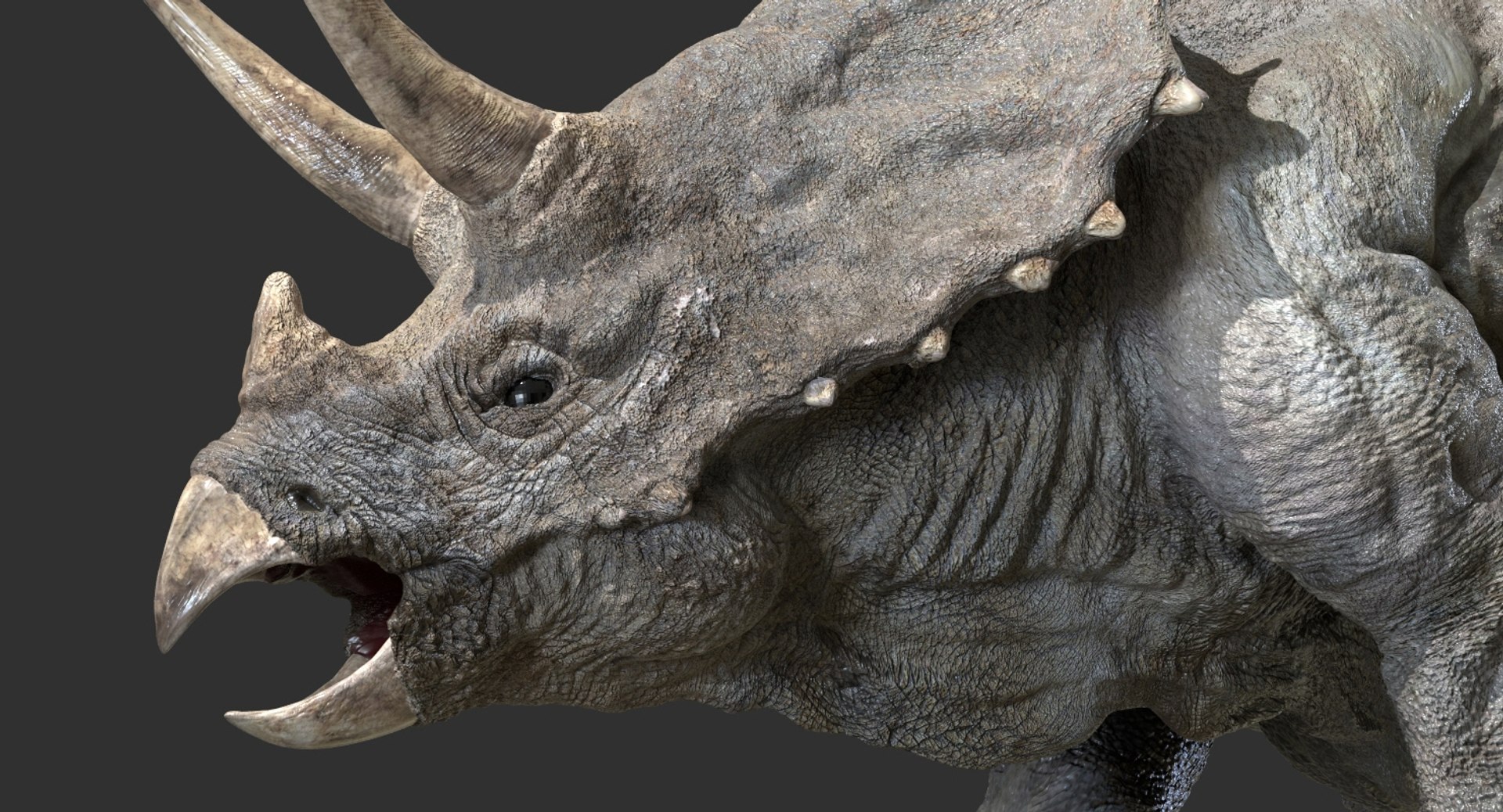 triceratops rigged 3D model https://p.turbosquid.com/ts-thumb/8R/7eg2Ai/sR2HAIC9/13/jpg/1517732056/1920x1080/fit_q87/dc38e92b8ac6cea4ae9ba9f6fd85279c6829544e/13.jpg