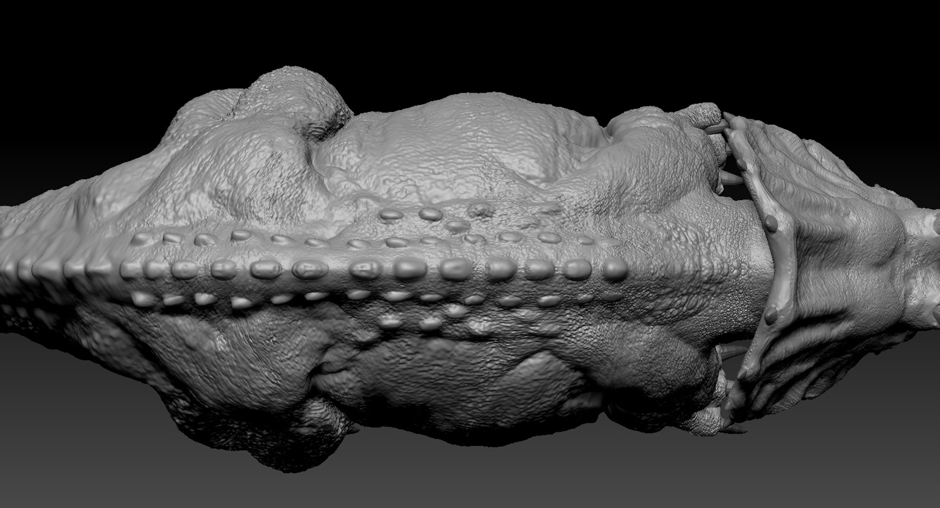 triceratops rigged 3D model https://p.turbosquid.com/ts-thumb/8R/7eg2Ai/tNAmhwpv/33/jpg/1517732058/1920x1080/fit_q87/3e1f8a5cd10a0c1b282ec8ad39c597f31d055018/33.jpg