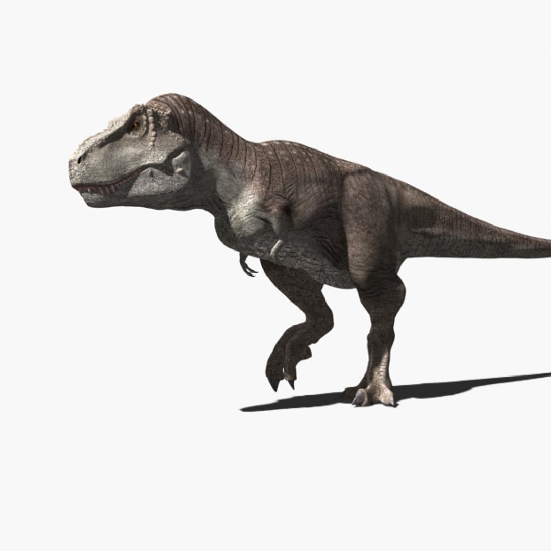 Tyrannosaurus rex running animal 3D model - TurboSquid 1566262