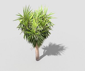 3d model tropical tree