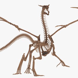 Fossilized Dragon Skeleton Rigged 3D model
