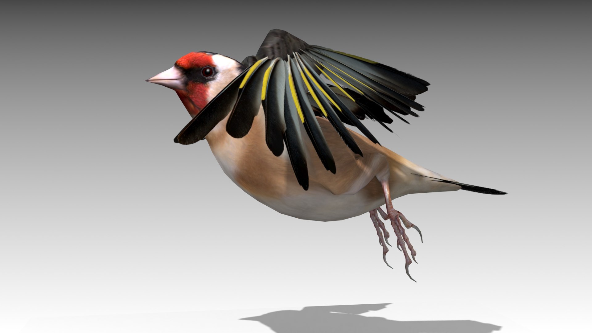 Bird Nature Finch 3D Model - TurboSquid 1446232