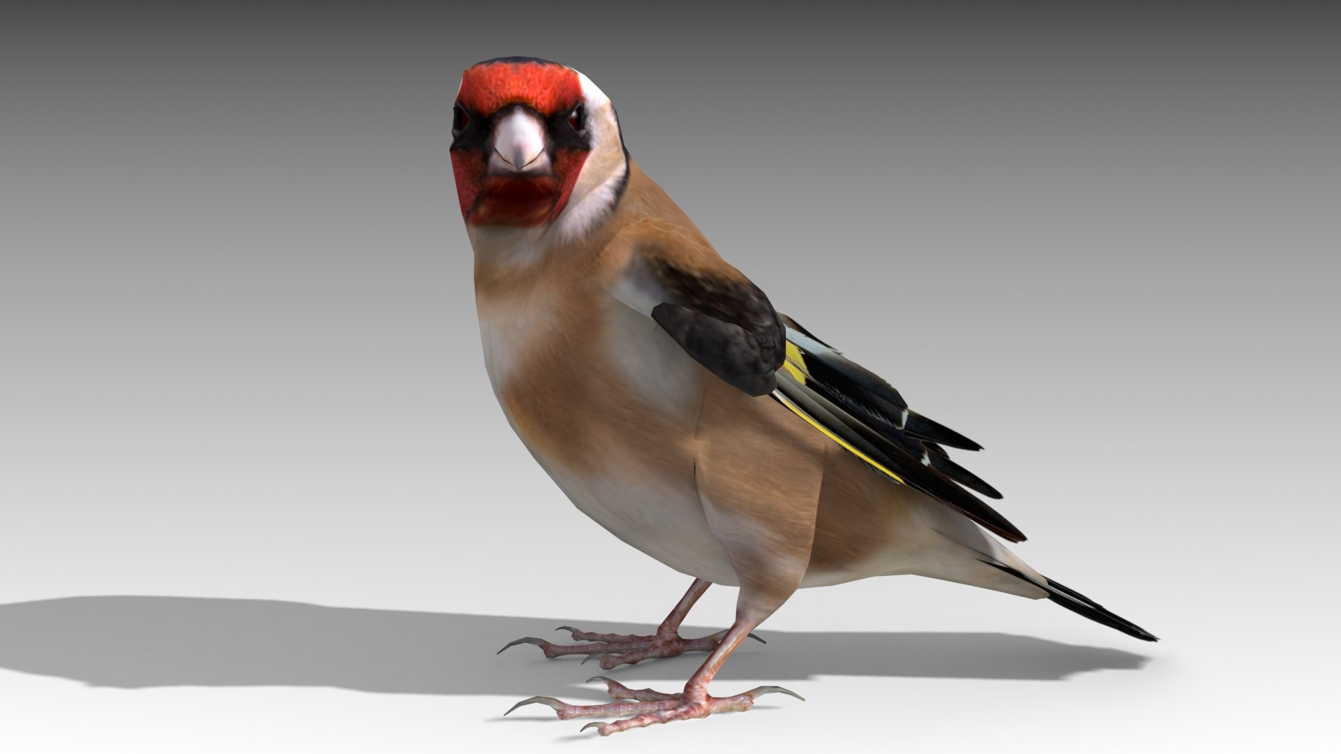 Bird Nature Finch 3D Model - TurboSquid 1446232
