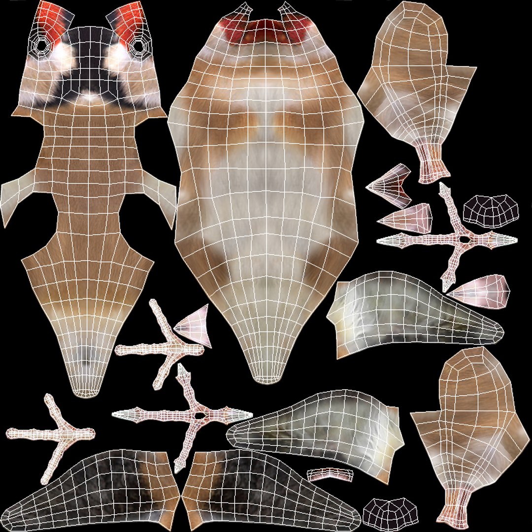 Bird Nature Finch 3D Model - TurboSquid 1446232
