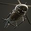 Agusta Westland AW119 Koala NYPD