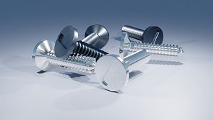 Stainless Steel Screw 3D