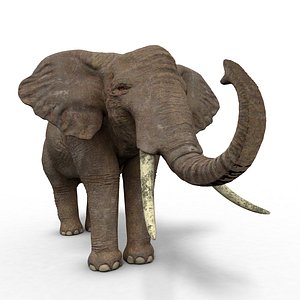 3D model elephant