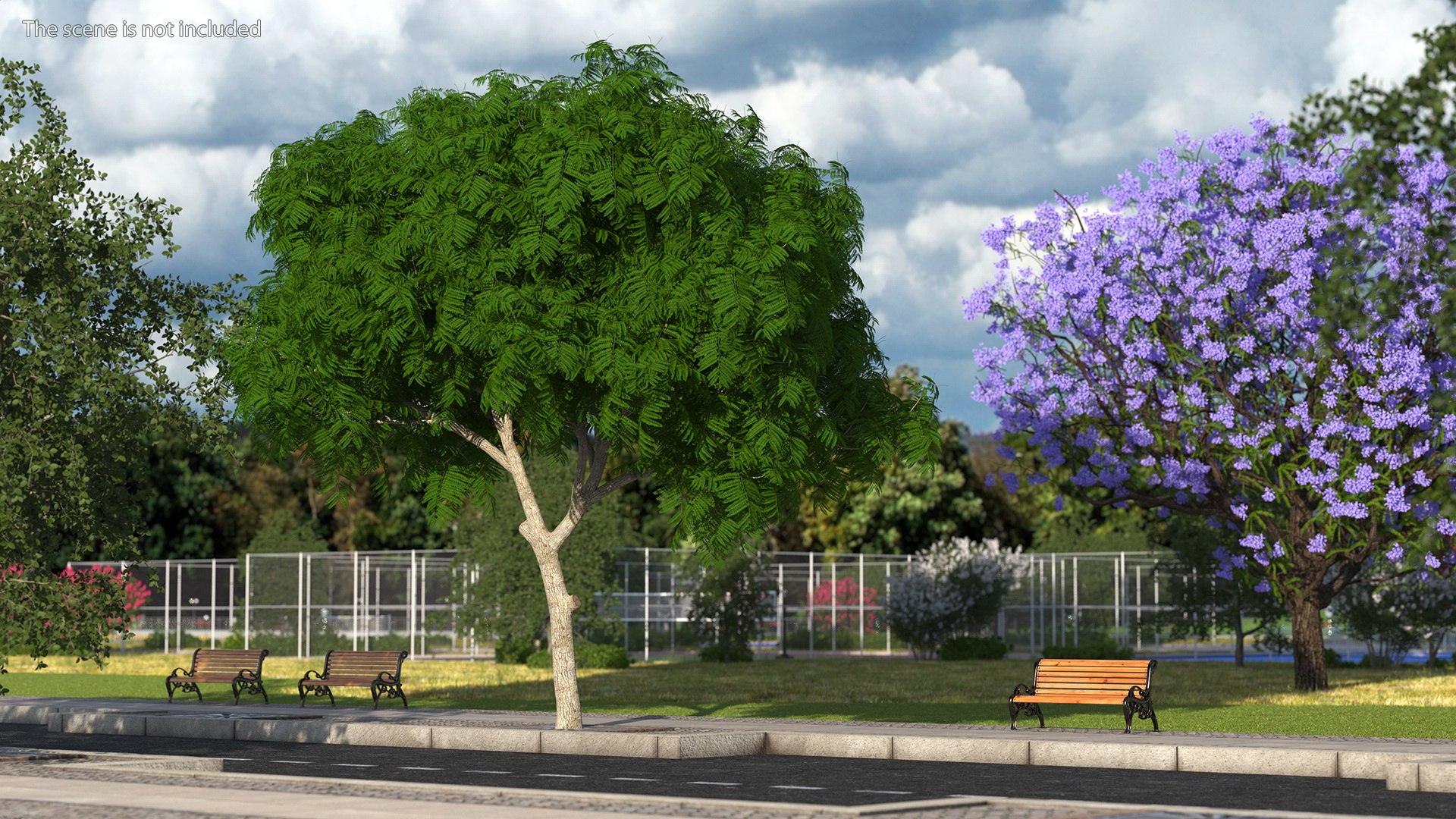peltophorum pterocarpum tree 3D model https://p.turbosquid.com/ts-thumb/8S/BbafJh/To/peltophorumpterocarpumtree3dmodel002/jpg/1615727747/1920x1080/fit_q87/87311984ec1c3e6d769a3070fee4011e699a7d59/peltophorumpterocarpumtree3dmodel002.jpg