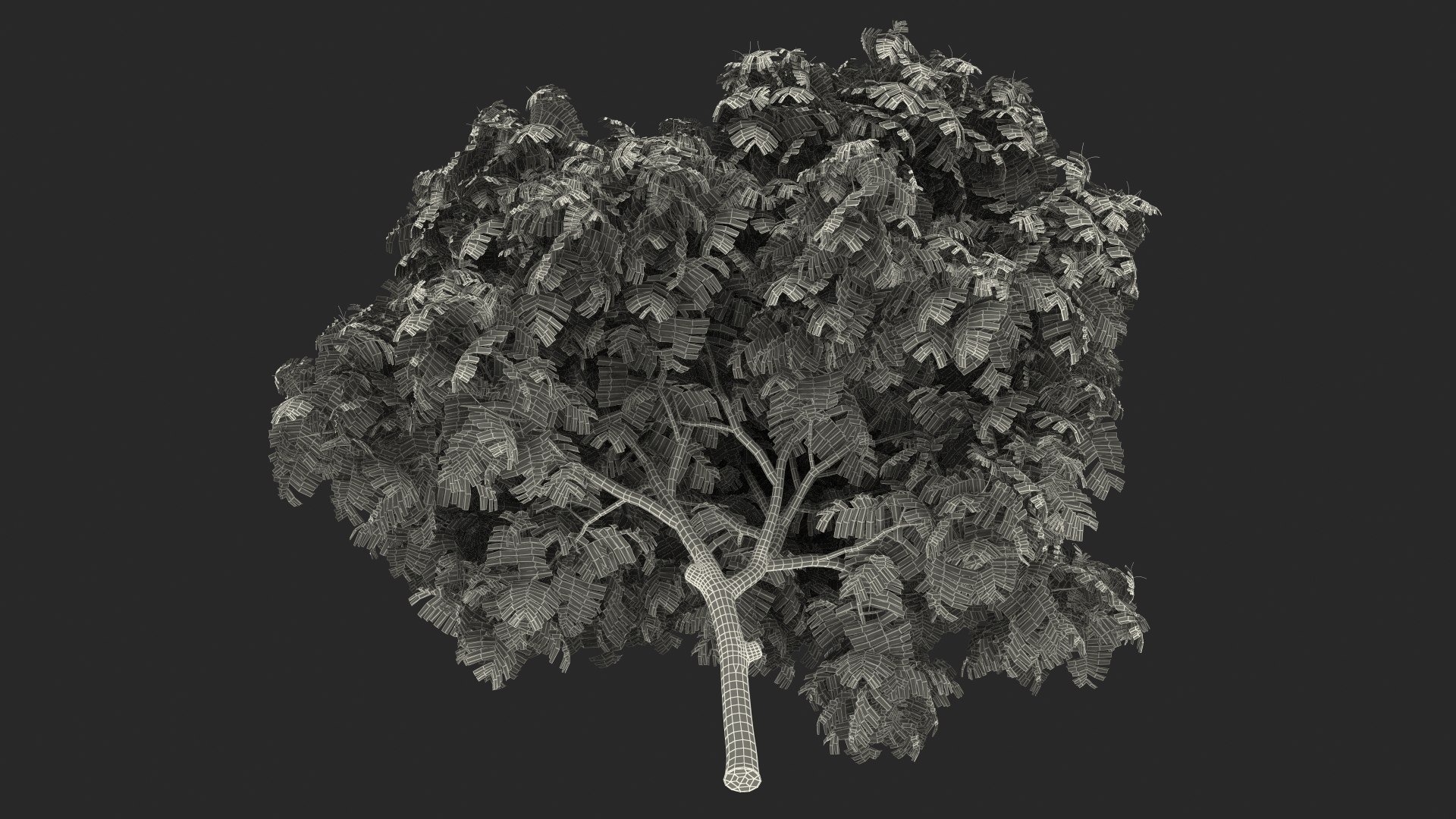 peltophorum pterocarpum tree 3D model https://p.turbosquid.com/ts-thumb/8S/BbafJh/Wu/peltophorumpterocarpumtree3dmodel027/jpg/1615727919/1920x1080/fit_q87/66fda7848cad4afc981ee435d9e90ea7cc1aba22/peltophorumpterocarpumtree3dmodel027.jpg