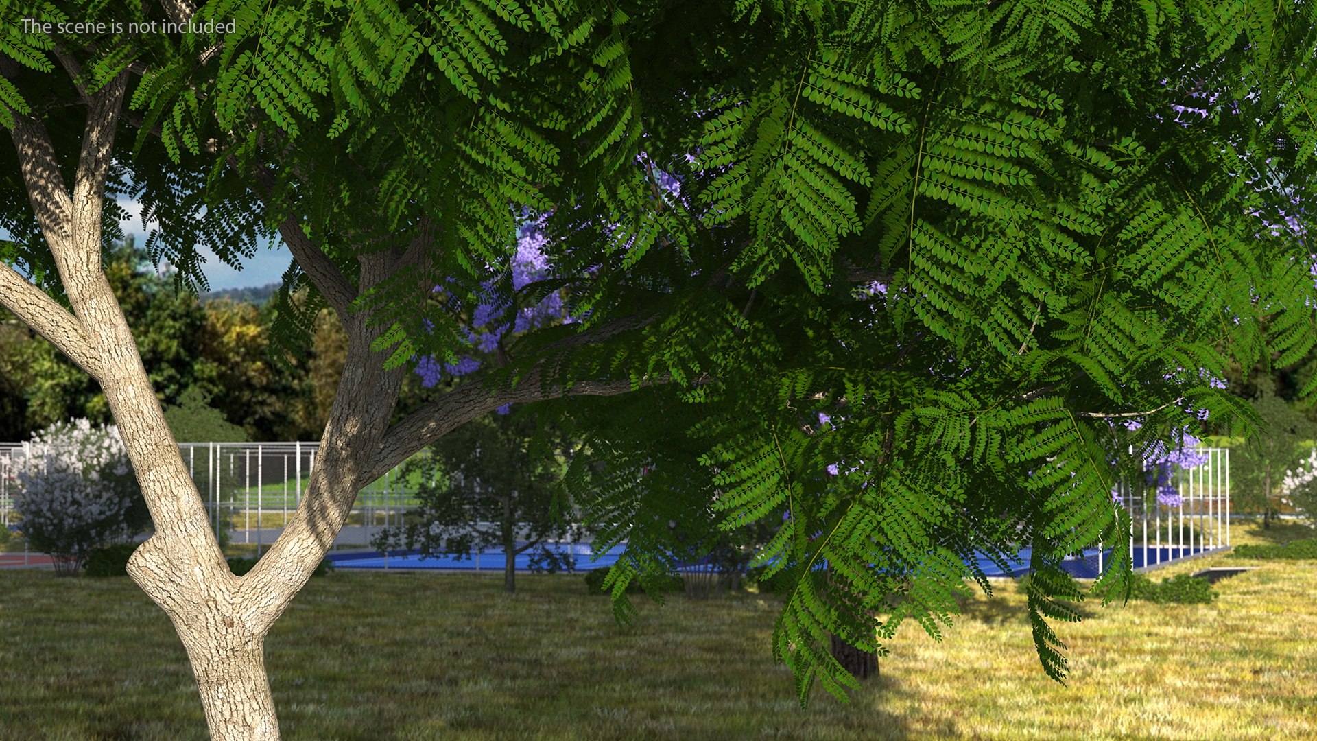 peltophorum pterocarpum tree 3D model https://p.turbosquid.com/ts-thumb/8S/BbafJh/rF/peltophorumpterocarpumtree3dmodel003/jpg/1615727757/1920x1080/fit_q87/e07b0cdb82512b70a8a88dc8c18025f9cda82e1f/peltophorumpterocarpumtree3dmodel003.jpg