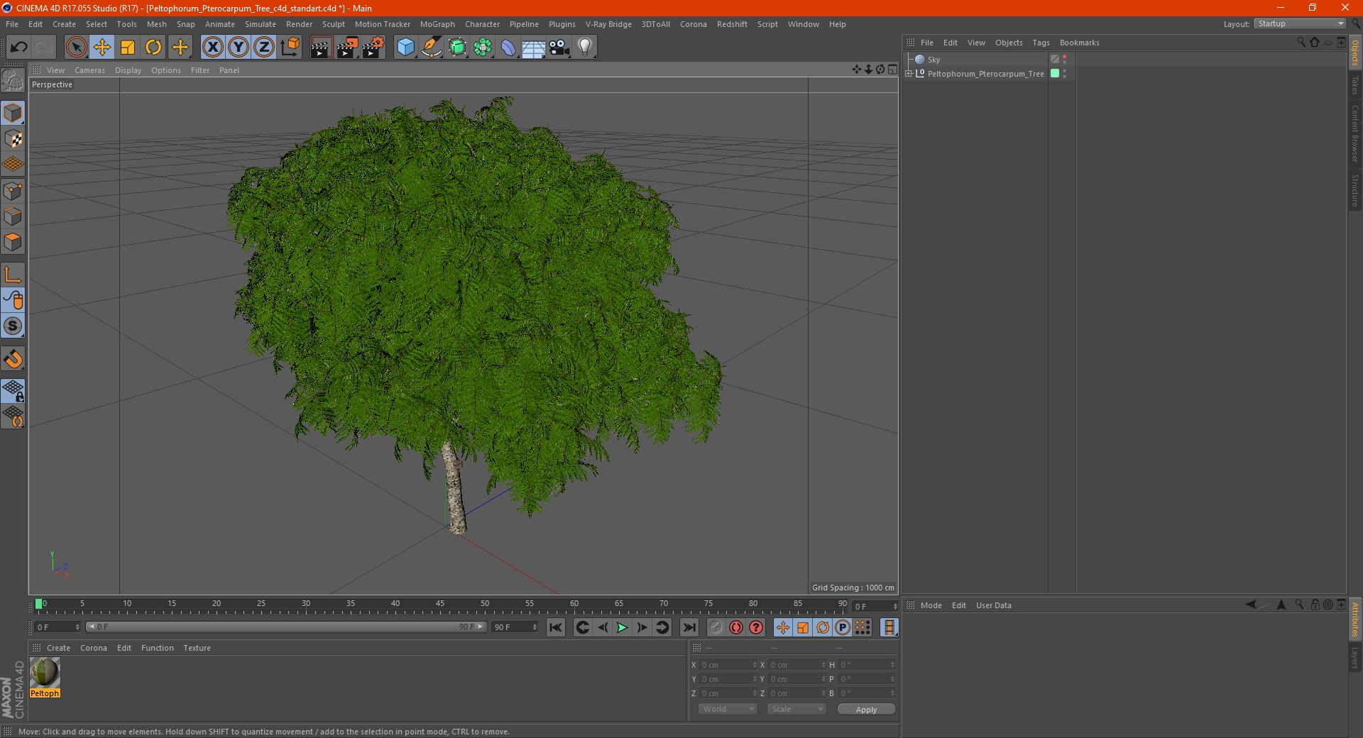 peltophorum pterocarpum tree 3D model https://p.turbosquid.com/ts-thumb/8S/BbafJh/x4/peltophorumpterocarpumtree3dmodel022/jpg/1615727874/1920x1080/fit_q87/2223ffb122873e322e9c2184f8867cd9201276ba/peltophorumpterocarpumtree3dmodel022.jpg