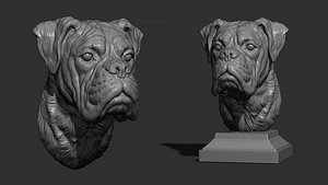 Deutscher Boxer Bust