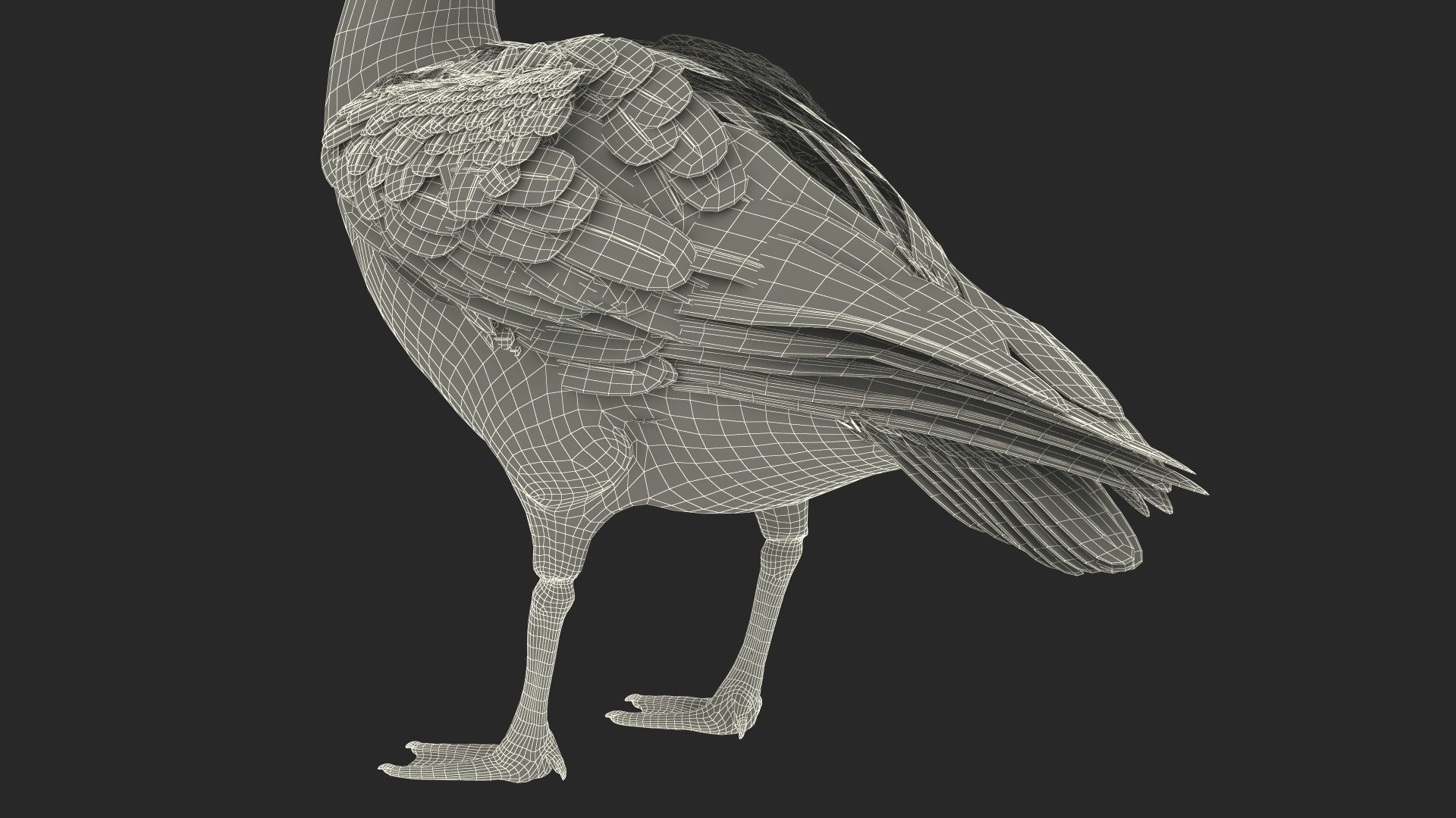 3D Branta Canadensis Standing Pose https://p.turbosquid.com/ts-thumb/8S/IMKe6L/1Y/brantacanadensisstandingposevray3dmodel025/jpg/1692417482/1920x1080/fit_q87/b9f8c2d7b8fcf34e2fa14df1db29d26f075f945b/brantacanadensisstandingposevray3dmodel025.jpg