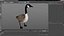 Branta Canadensis Standing Pose