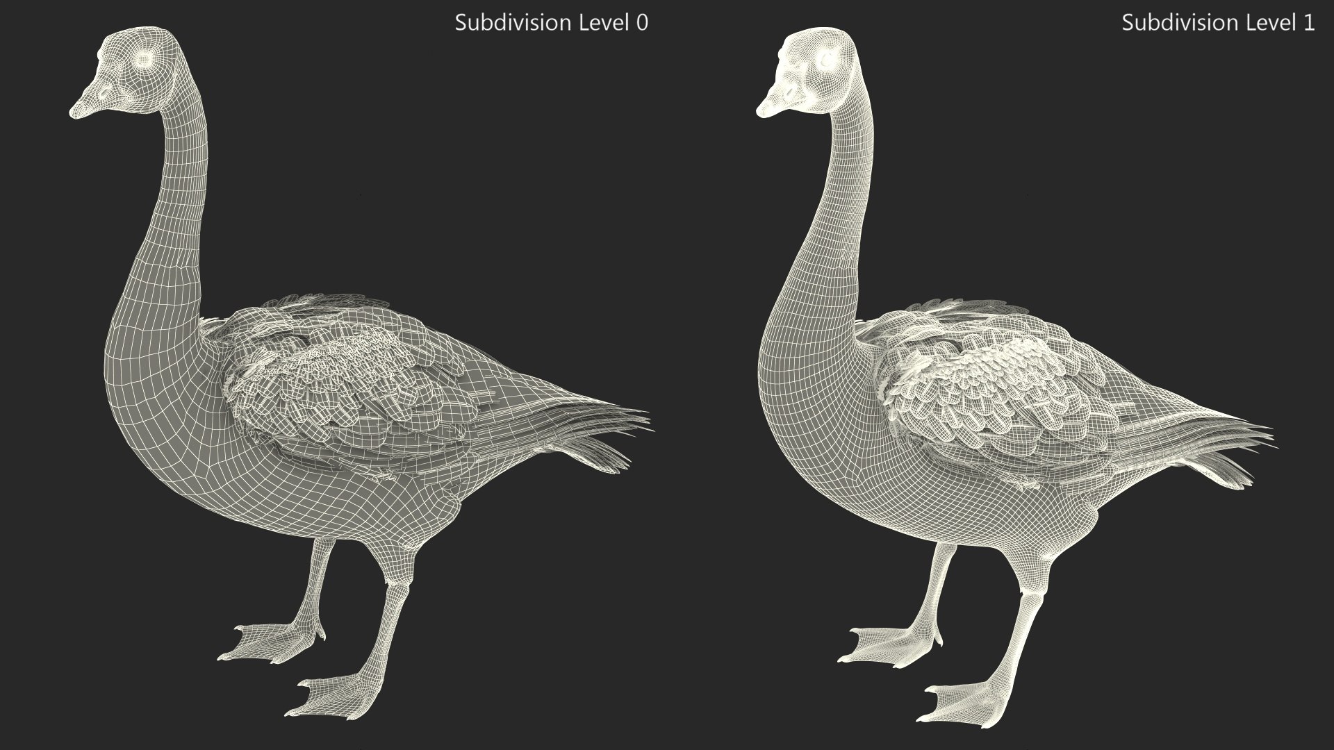 3D Branta Canadensis Standing Pose https://p.turbosquid.com/ts-thumb/8S/IMKe6L/6k/brantacanadensisstandingposevray3dmodel015/jpg/1692417451/1920x1080/fit_q87/679a7e829cae35f214ea56168ed7ba152bf78456/brantacanadensisstandingposevray3dmodel015.jpg