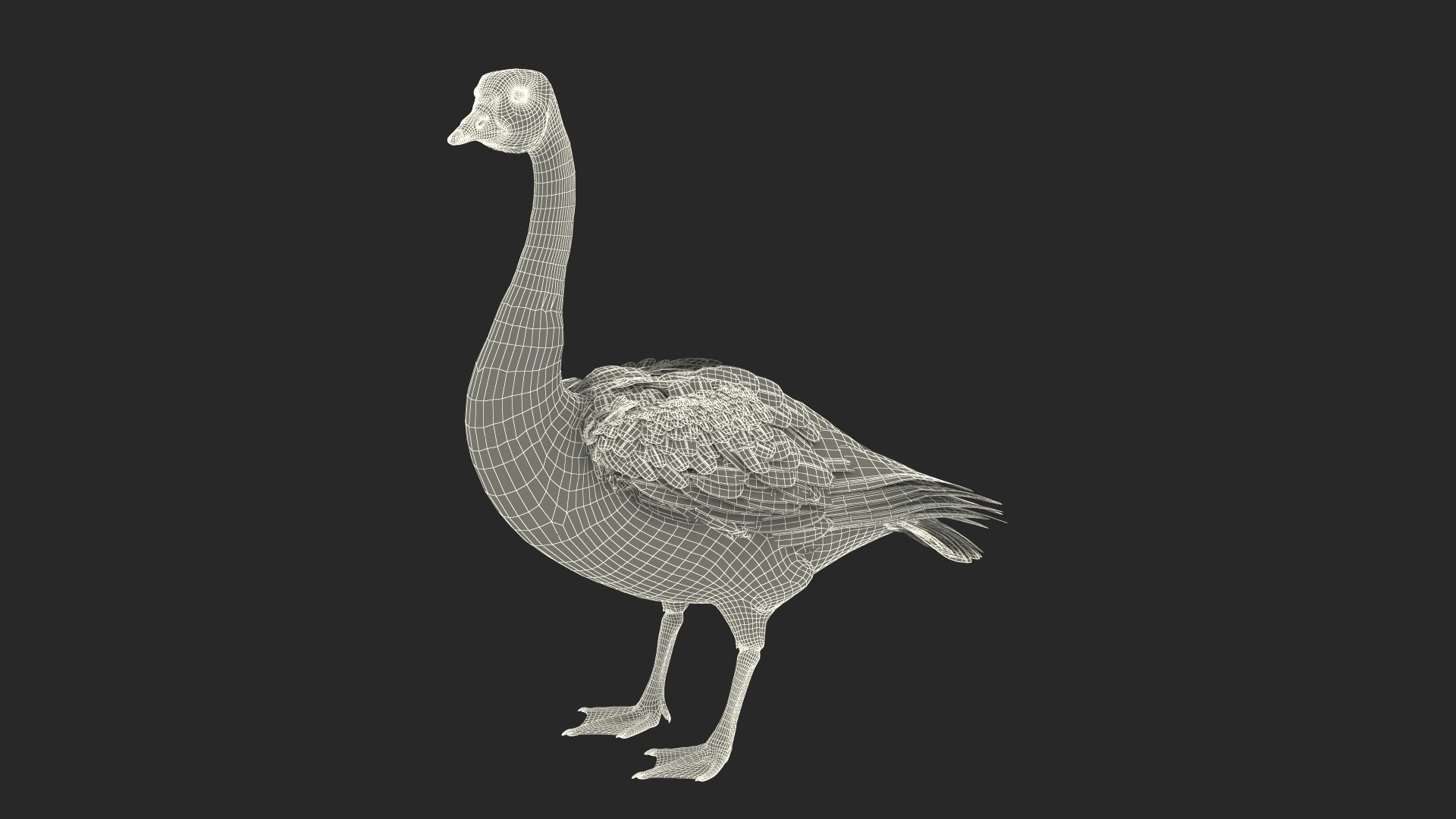 3D Branta Canadensis Standing Pose https://p.turbosquid.com/ts-thumb/8S/IMKe6L/rg/branta_canadensis_standing_pose_361/jpg/1692417226/1920x1080/turn_fit_q99/110d44e7eccf86e85e171f261bdf50f4d9cf3249/branta_canadensis_standing_pose_361-1.jpg