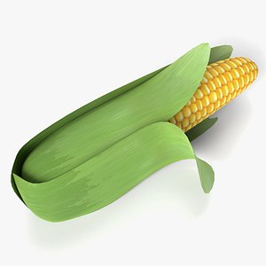 corn vegetable food 3D