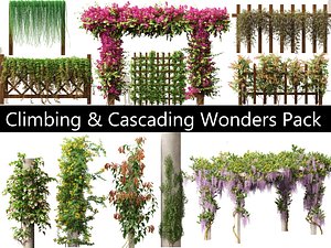 Climbing Cascading Wonders Pack 323Ds Max 3D model