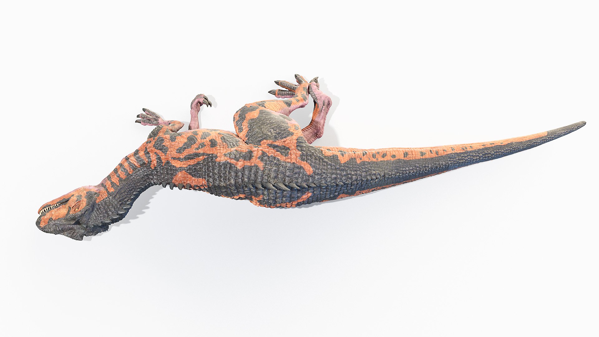 3D allosaurus https://p.turbosquid.com/ts-thumb/8S/jCT7AH/4KtALIif/allosaurus_animated_poses0067_1/jpg/1606901974/1920x1080/fit_q87/a66ebe4af44b9177fadf97bf45b7083296262d6f/allosaurus_animated_poses0067_1.jpg