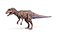 Allosaurus Animated