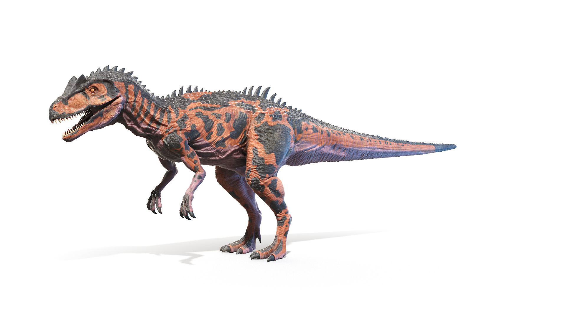 3D allosaurus https://p.turbosquid.com/ts-thumb/8S/jCT7AH/Dl2FzFJv/allosaurus_turntable/jpg/1606901963/1920x1080/turn_fit_q99/b11a4927fd43a07b5c615ec9510e3f443c5d088b/allosaurus_turntable-1.jpg