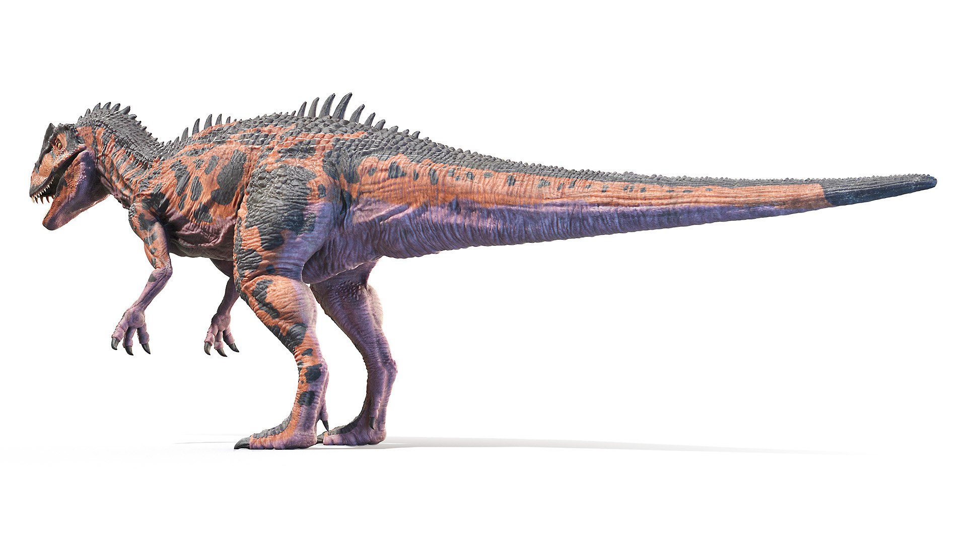 3D allosaurus https://p.turbosquid.com/ts-thumb/8S/jCT7AH/KKW6qQcq/allosaurus0004/jpg/1606902038/1920x1080/fit_q87/de8c2477ff2503b074d85a8183fc48f0729041ef/allosaurus0004.jpg
