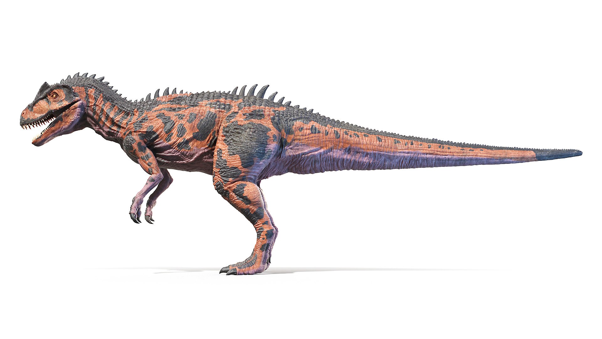 3D allosaurus https://p.turbosquid.com/ts-thumb/8S/jCT7AH/U5VOQ5z7/allosaurus0000/jpg/1606902038/1920x1080/fit_q87/4b6cfc9d1c6978b5232d212cbab729c0f1261e9e/allosaurus0000.jpg