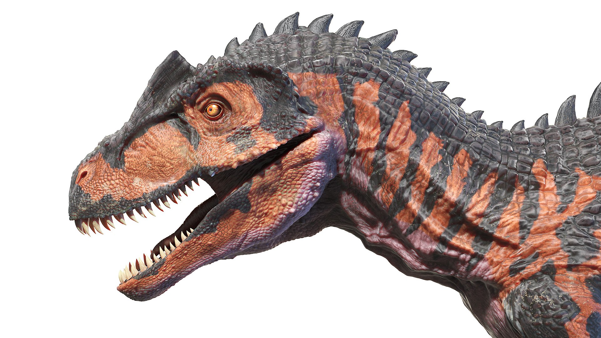 3D allosaurus https://p.turbosquid.com/ts-thumb/8S/jCT7AH/e4zHX5U5/allosaurus0005/jpg/1606902038/1920x1080/fit_q87/42b42203e9a085117998a34848f1f66279b8ced7/allosaurus0005.jpg