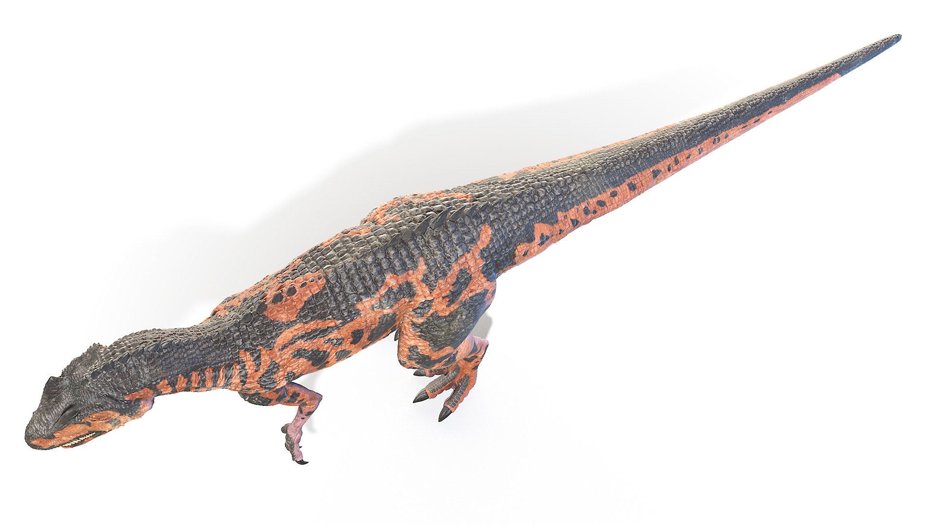 3D allosaurus https://p.turbosquid.com/ts-thumb/8S/jCT7AH/gxbR0YBd/allosaurus0003/jpg/1606902038/1920x1080/fit_q87/c51e7090f40bbacecb78742276ba5116157340be/allosaurus0003.jpg