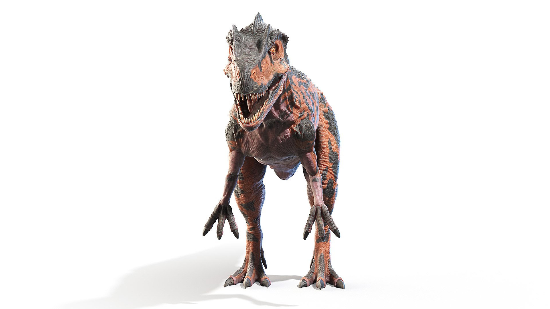 3D allosaurus https://p.turbosquid.com/ts-thumb/8S/jCT7AH/hyj0arlR/allosaurus0002/jpg/1606902038/1920x1080/fit_q87/94325e19ae17dac029f44d130d8f7222fbc1bdc5/allosaurus0002.jpg