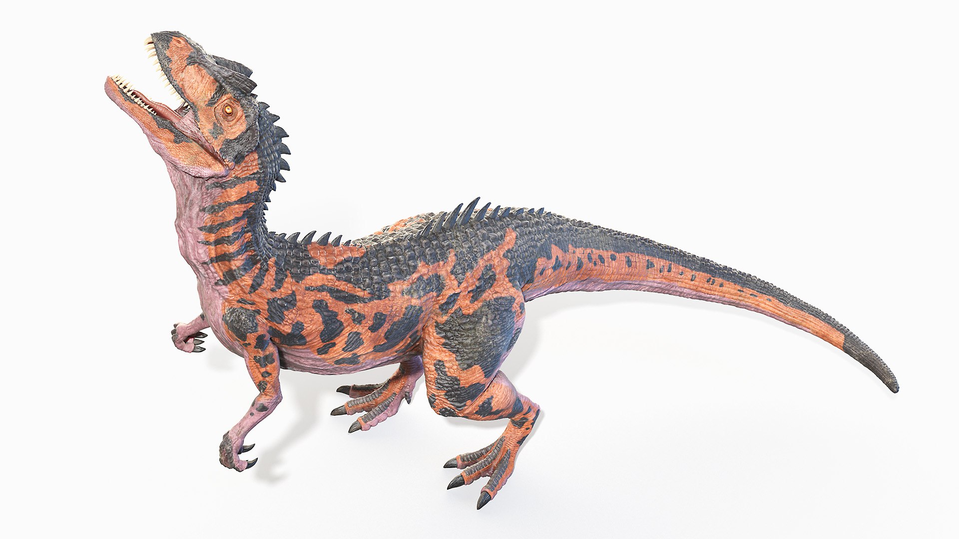 3D allosaurus https://p.turbosquid.com/ts-thumb/8S/jCT7AH/o56rm7j0/allosaurus_animated_poses0064_1/jpg/1606901973/1920x1080/fit_q87/93bc2e59f9a82bf1785ea4c3c09c1f58e76ff5c0/allosaurus_animated_poses0064_1.jpg